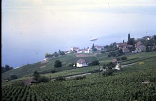 Coupe à champagne en cristal : histoire et guide d'achat