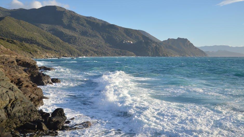 Les vins de Figari : terroir et cuvées du sud de la Corse