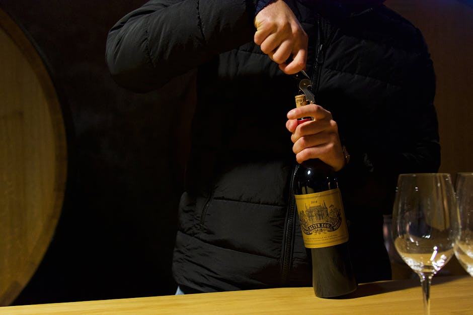 Formations pour travailler dans le vin : BTS, licences, masters