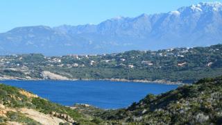 Vin de Calvi et de Balagne, guide des domaines et des cépages