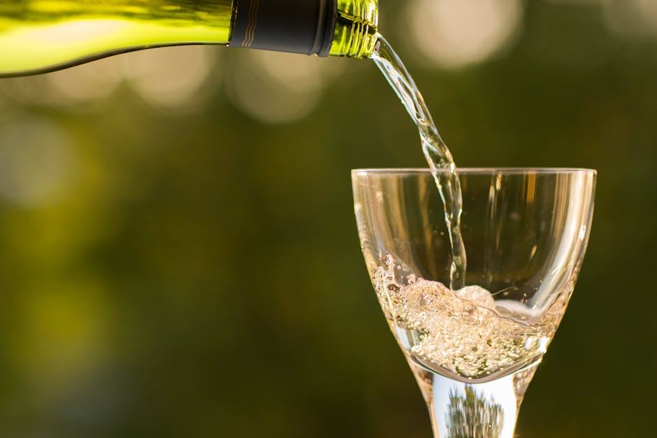 Vin rouge léger : les meilleurs choix selon les plats