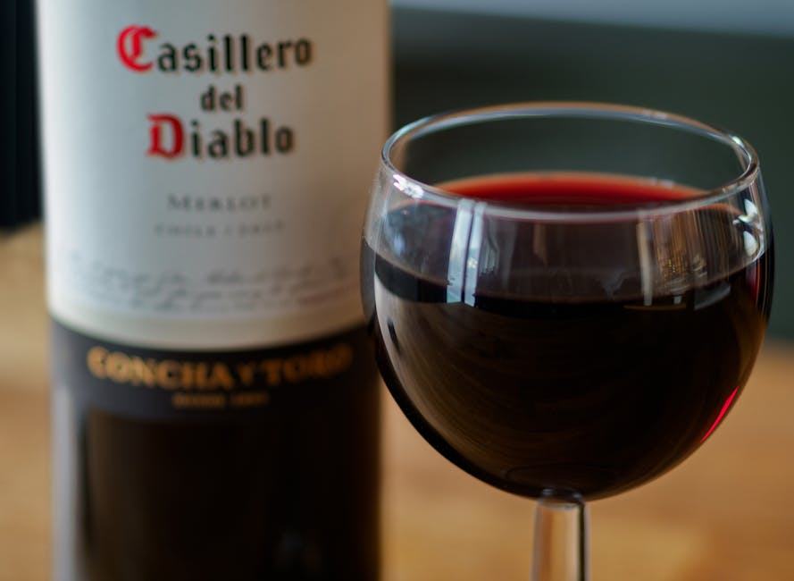 Vin rouge sans alcool : les meilleures alternatives actuelles