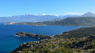 Week-end vins corses à Ajaccio : bars, caves et dégustations