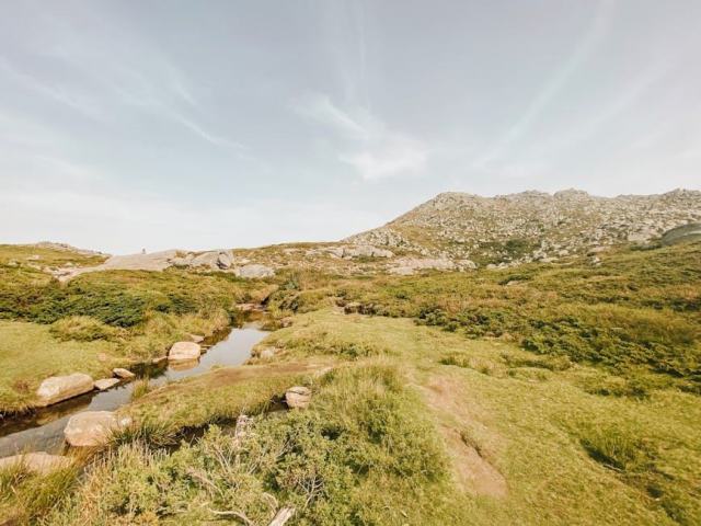 Vins d'Aléria : découverte d'une région viticole corse